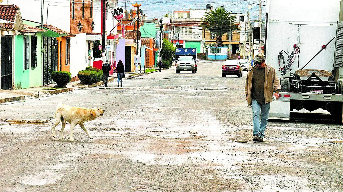 CASI 100 ATAQUES DE PERROS A HUMANOS (2)